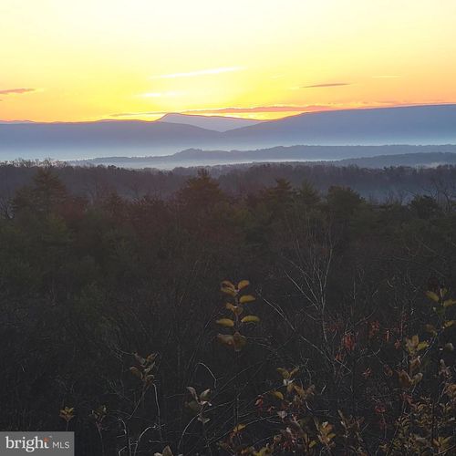 685 N Maple Rd, MOUNT JACKSON, VA, 22842-3475 | Card Image