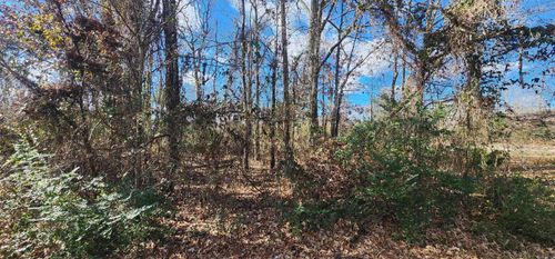 Lot 107 Southhaven Ave, Cabot, AR, 72023-9432 | Card Image