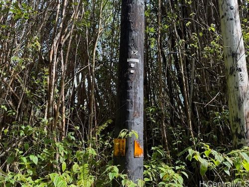 17-3352 Malulani Rd, Mountain View, HI, 96771 | Card Image