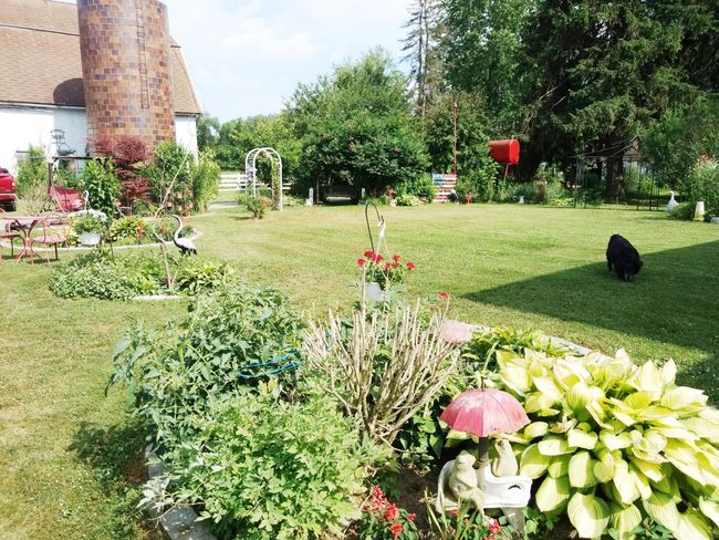 19701 Karr Rd, House other with 4 bedrooms, 2 bathrooms and null parking in Sumpter Twp MI | Image 35