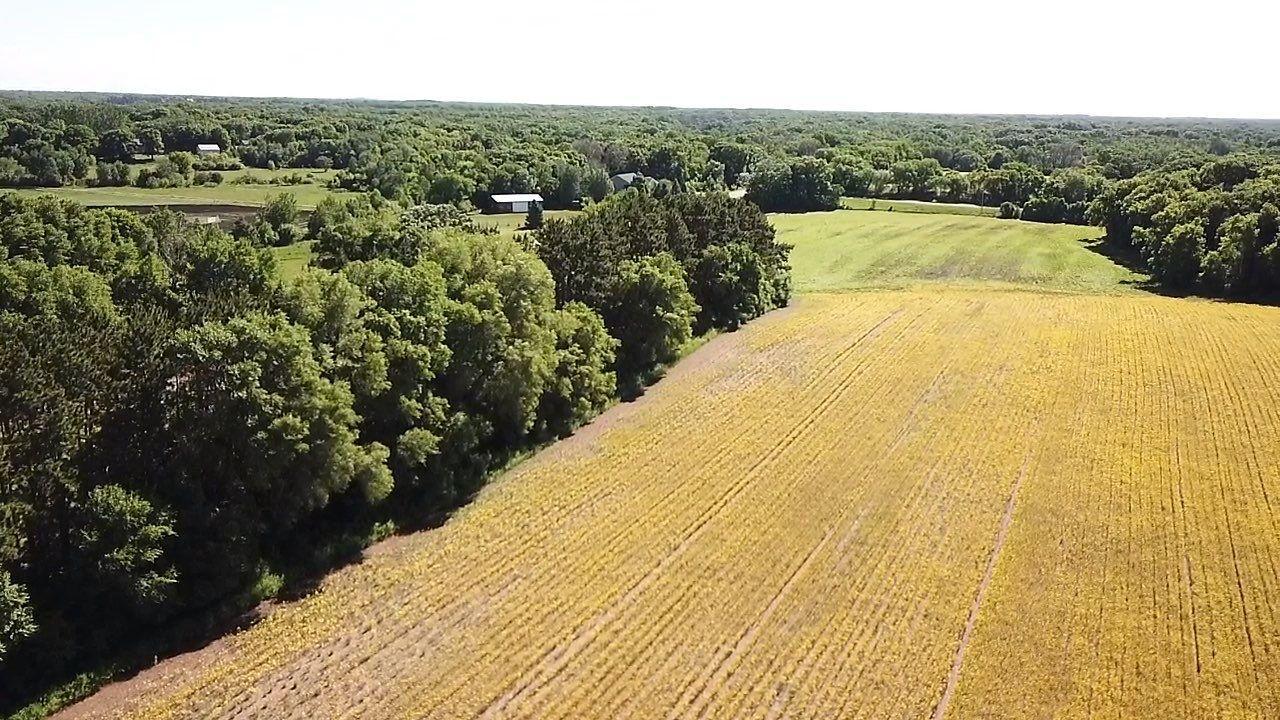 Land in Becker 4