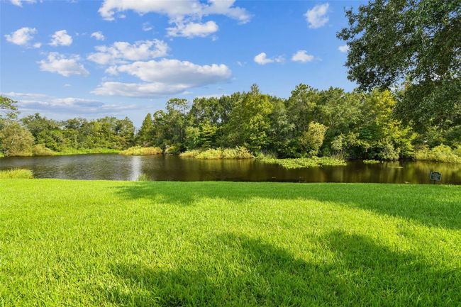 35536 Wickingham Ct, House other with 4 bedrooms, 2 bathrooms and null parking in ZEPHYRHILLS FL | Image 55