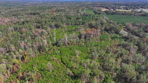 465 N Ann St, Eclectic, AL, 36024-5763 | Card Image