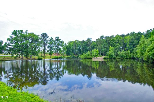 Pond | Image 69