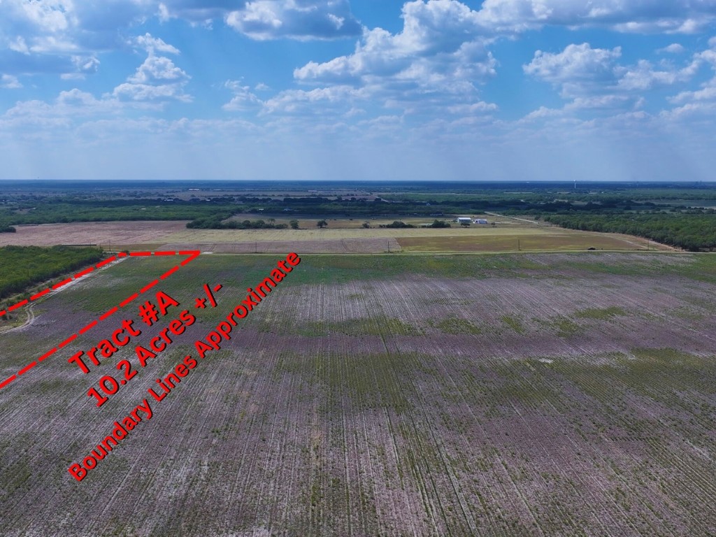 Land in Kingsville 3