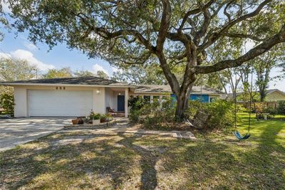 222 Riviere Road, House other with 3 bedrooms, 2 bathrooms and null parking in Palm Harbor FL | Image 1