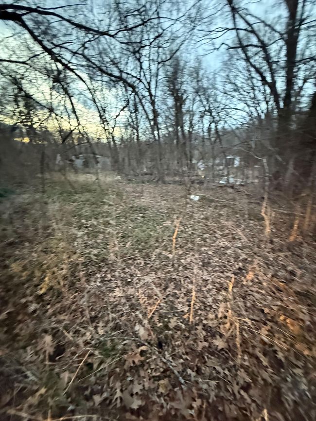 4 | Image 7