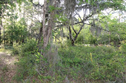 6 Bottoms Road, Panacea, FL, 32346 | Card Image