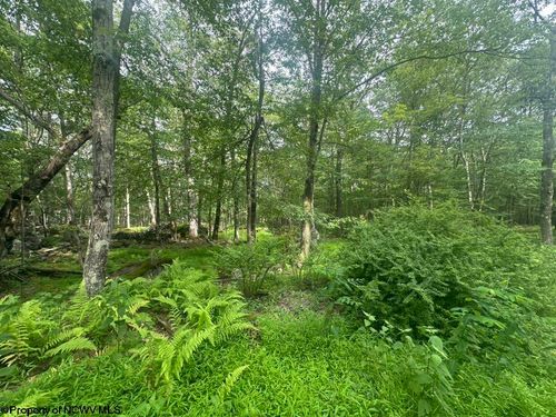 lot-88-88 Goldenrod Dr, Terra Alta, WV, 26764 | Card Image