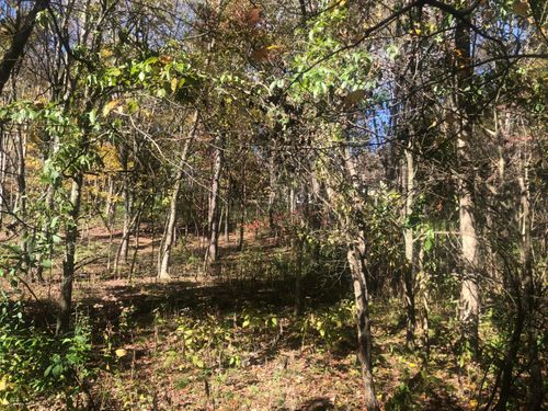 lot-346-0 Valleyridge Dr, Howard, OH, 43028 | Card Image