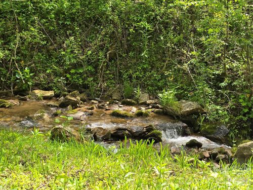 99999 Roaring Fork Road, Mars Hill, NC, 28754 | Card Image
