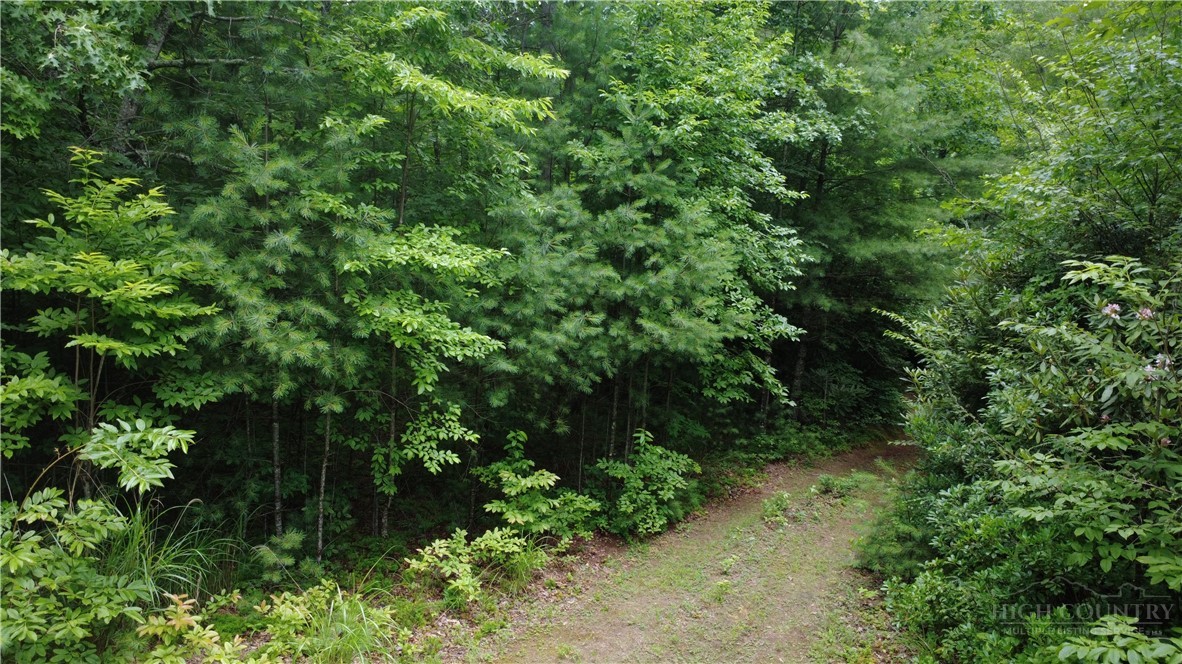 Land in Lenoir 4