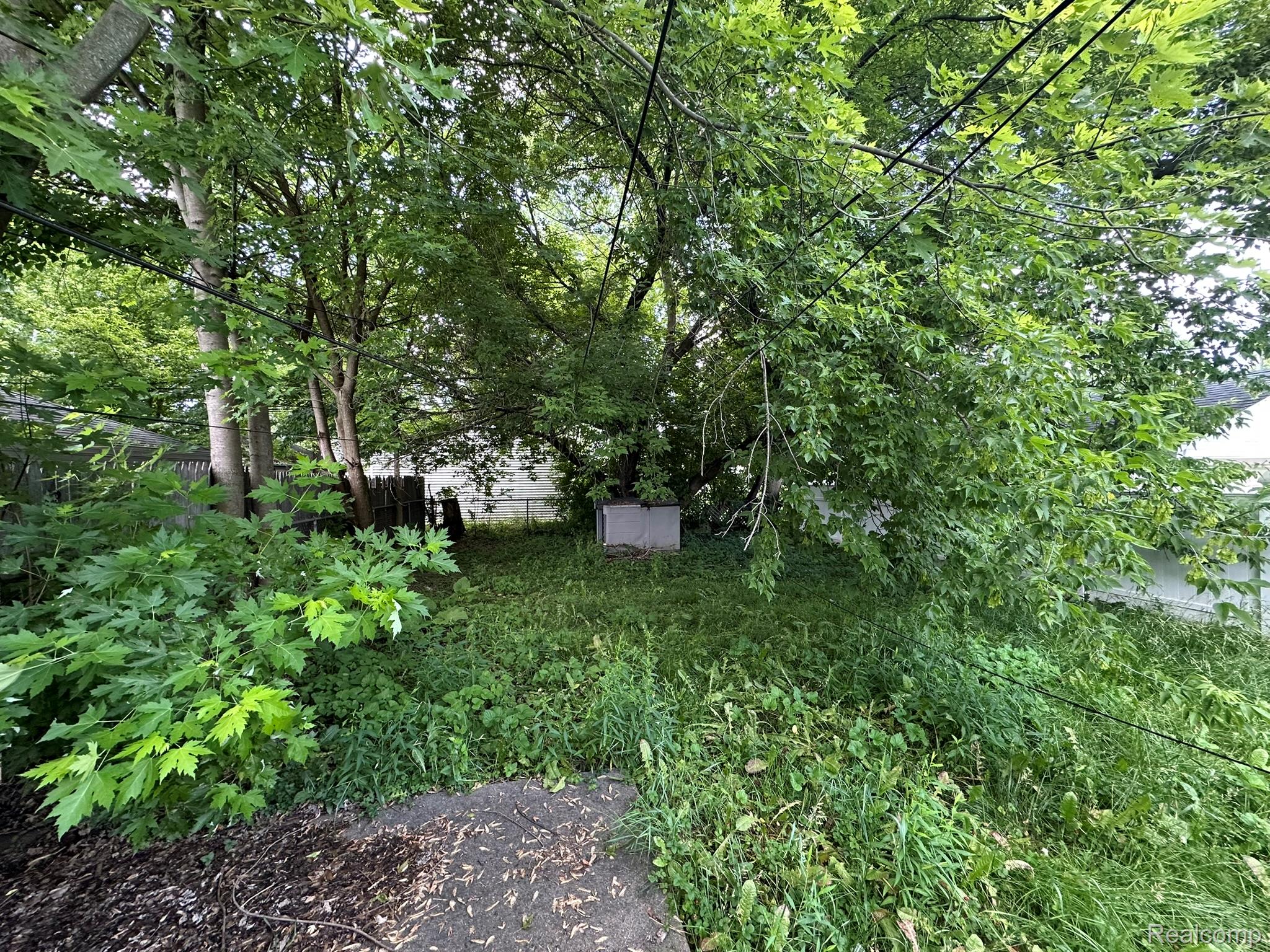 Residential in Redford Charter Township 3
