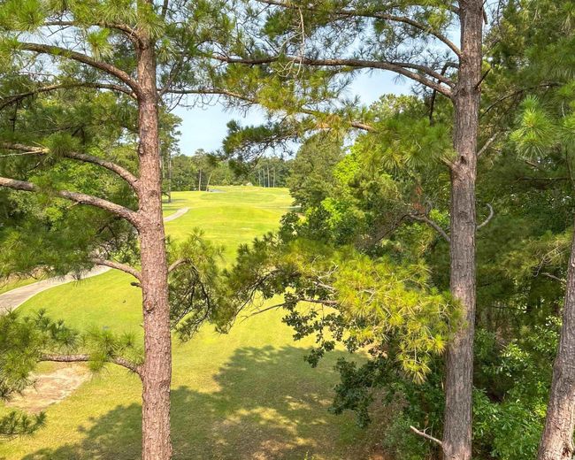 View of property's community with a yard and view of golf course | Image 28