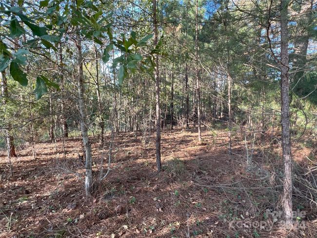 111 River View Dr, Home with 0 bedrooms, 0 bathrooms and null parking in Mooresboro NC | Image 37
