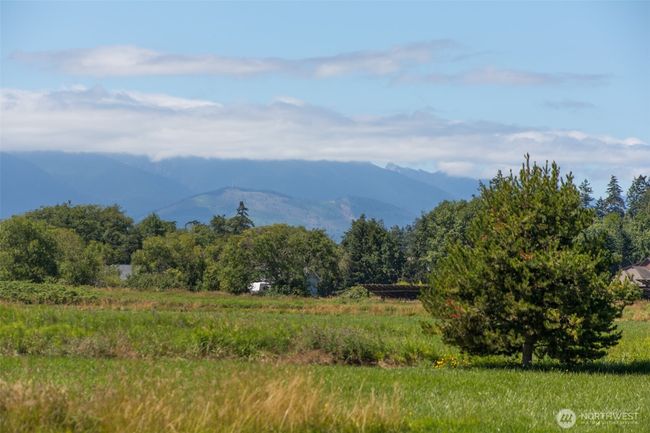 0 Buttercup Ln, Home with 0 bedrooms, 0 bathrooms and null parking in Sequim WA | Image 32