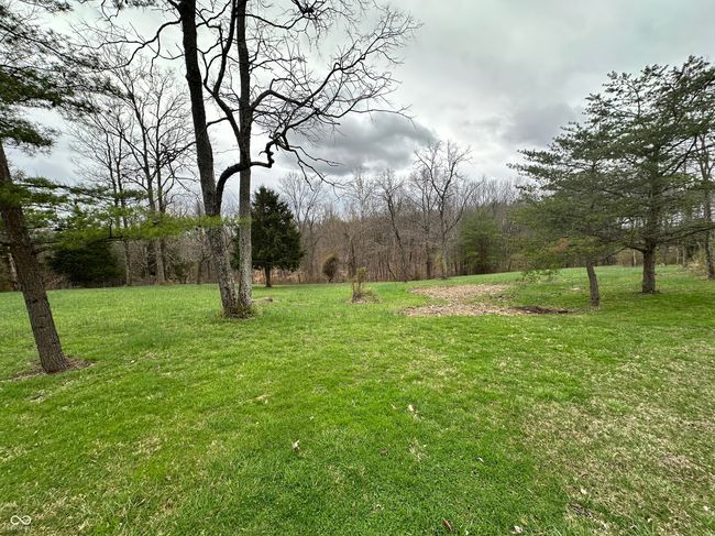 view of yard | Image 16