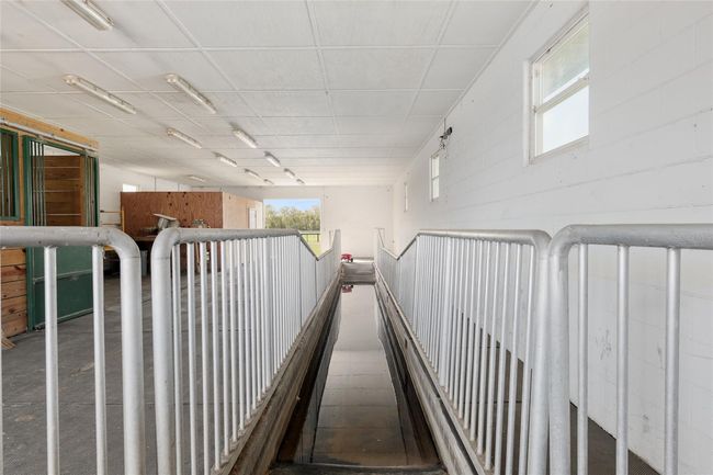 cold water spa for horses | Image 76