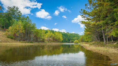 505 Road 9002, Mentone, AL, 35984-2894 | Card Image
