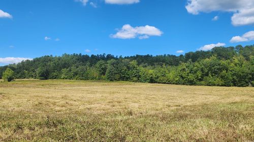 202 (Lot#17) Revas Way, Story, AR, 71970-8207 | Card Image