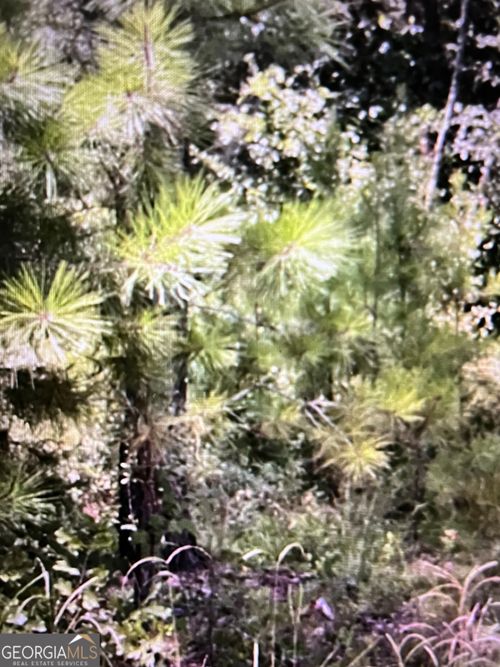 LOTS 5 & 6 N/A, Denton, GA, 31532 | Card Image