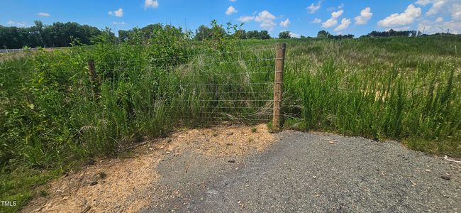 20240613_150802 | Image 7