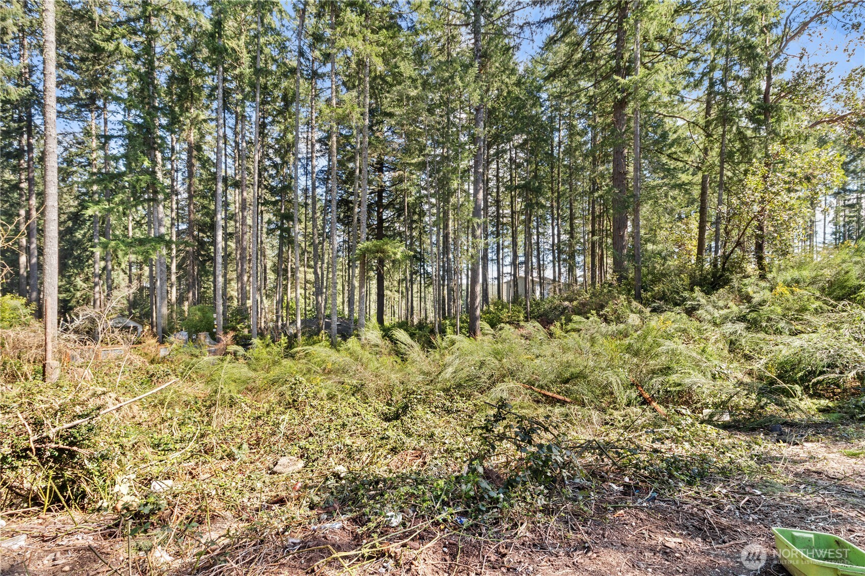Land in Lakebay 2
