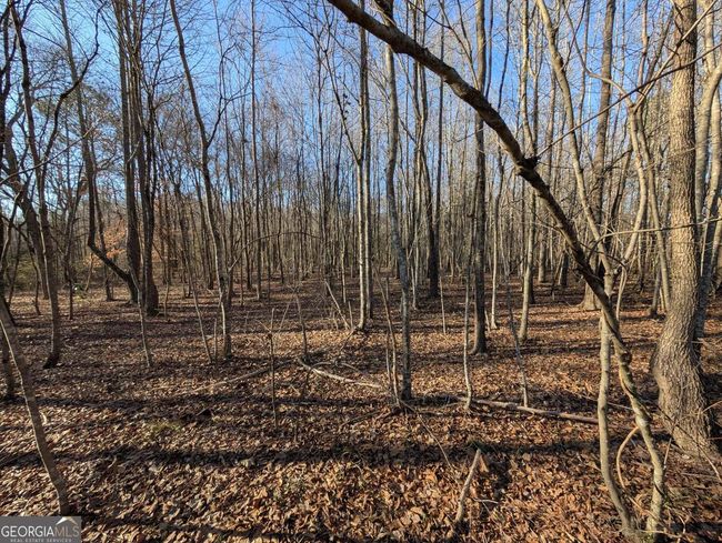 0 Ridgeway Rd, Home with 0 bedrooms, 0 bathrooms and null parking in Trion GA | Image 26
