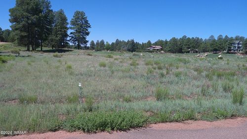 2271 Green Cove Dr, Overgaard, AZ, 85933-5183 | Card Image
