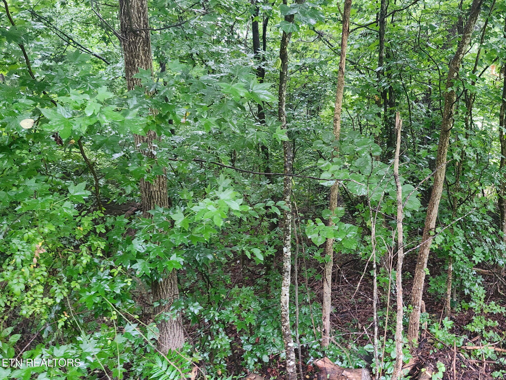 Land in Harriman 4