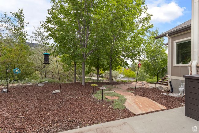 View of yard | Image 37