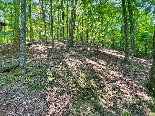 764 Chestnut Cove Trl, House other with 2 bedrooms, 2 bathrooms and 2 parking in Jasper GA | Image 19