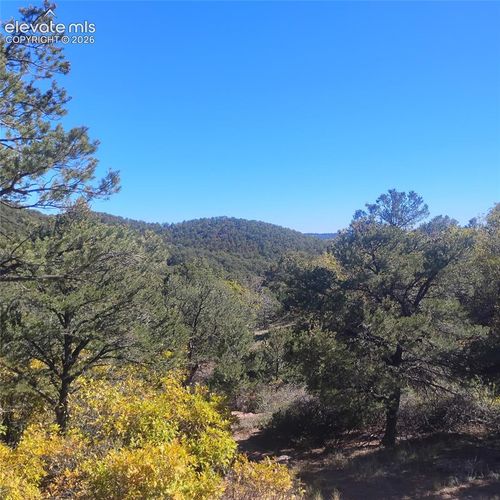 468 Rye Whiskey Trail, Canon City, CO, 81212 | Card Image