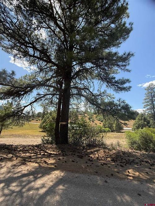 78 Dyke Blvd, Pagosa Springs, CO, 81147 | Card Image