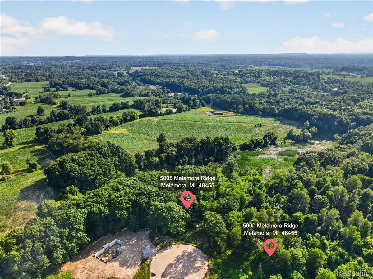 Residential in Metamora Township