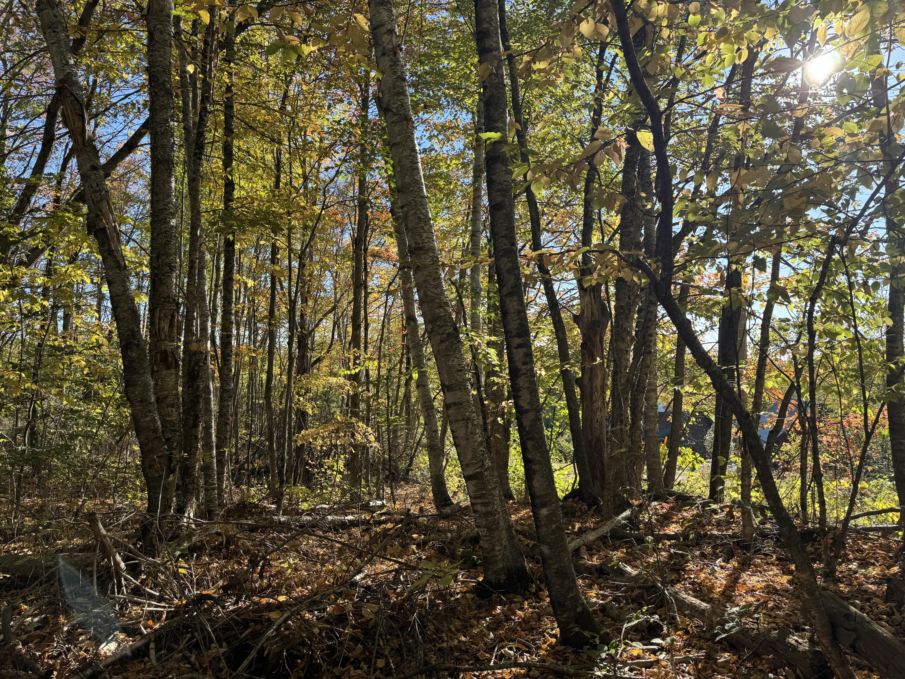 Land in Saint Albans 5
