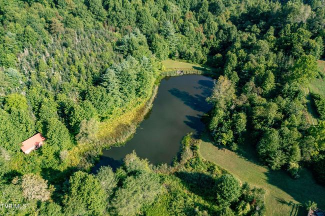 306 Bear Branch Rd, Home with 0 bedrooms, 0 bathrooms and null parking in Roan Mountain TN | Image 33