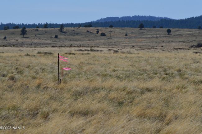 2 E Tanner Ranch Rd, Home with 0 bedrooms, 0 bathrooms and null parking in Parks AZ | Image 7