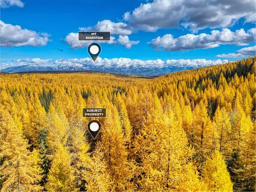 238 Cedar Hills Ln, Trego, MT, 59934-7770 | Card Image