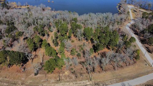 3176 Shadow Pine Dr, Larue, TX, 75770 | Card Image