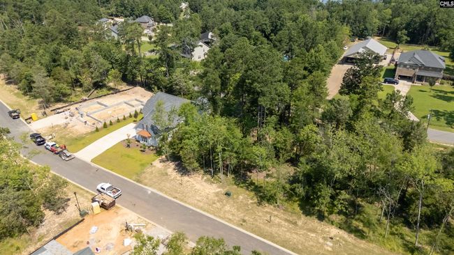 812 Elms Spinney Ln, Home with 0 bedrooms, 0 bathrooms and null parking in Chapin SC | Image 14