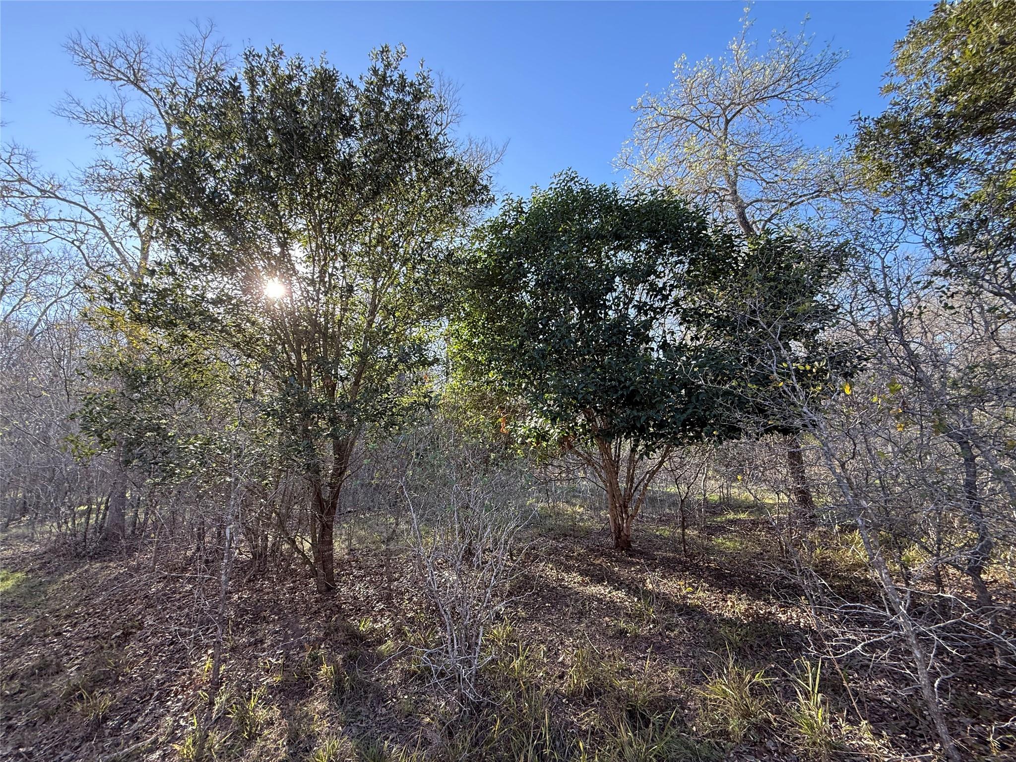 Commercial Sale in Seguin