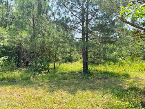 lot-24-24 Buckhorn Church Rd, Como, NC, 27818 | Card Image