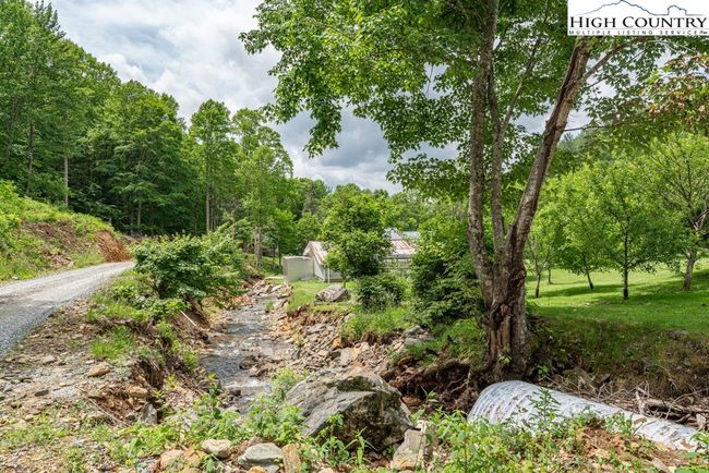 Creek with some erosion from Helene. | Image 37