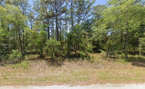 1110 Nw Redwood Dr, Dunnellon, FL, 34431 | Card Image