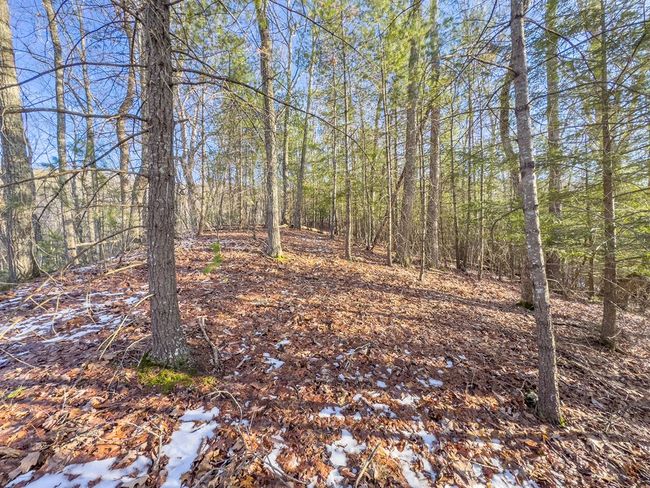 92 Acres Laurel Fork Rd, Home with 0 bedrooms, 0 bathrooms and null parking in Rocky Gap VA | Image 27