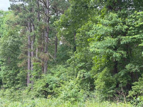 8126 Autumnwood Rd, Mabelvale, AR, 72103-4682 | Card Image
