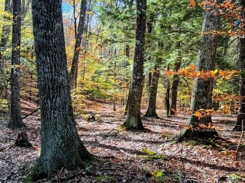 29&31 White Brook Road, Gilsum, NH, 03448 | Card Image