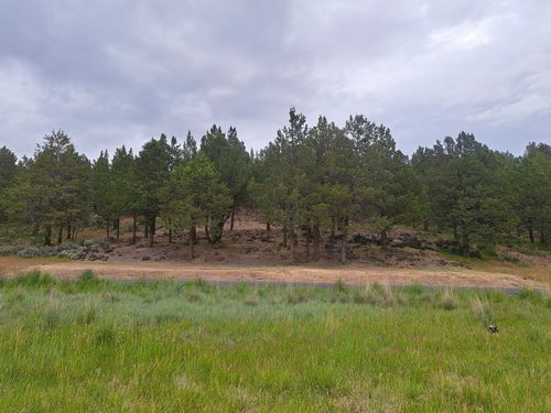 1151-0 Parula Rd, Klamath Falls, OR, 97601 | Card Image