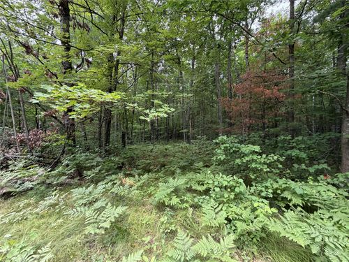 Lot 1 N Norwis Rd, Hayward, WI, 54843 | Card Image
